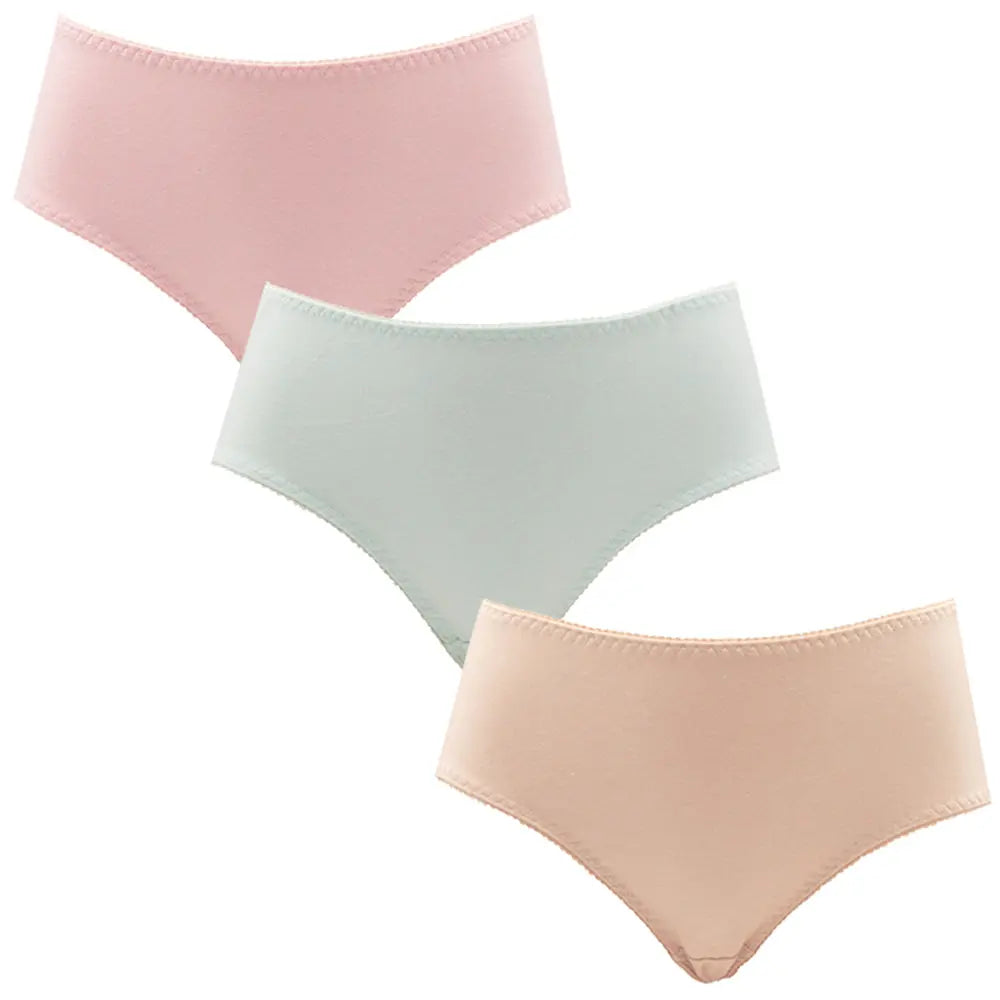 スタイルサポートショーツガードル お腹押さえプレーンタイプ ARISAYA